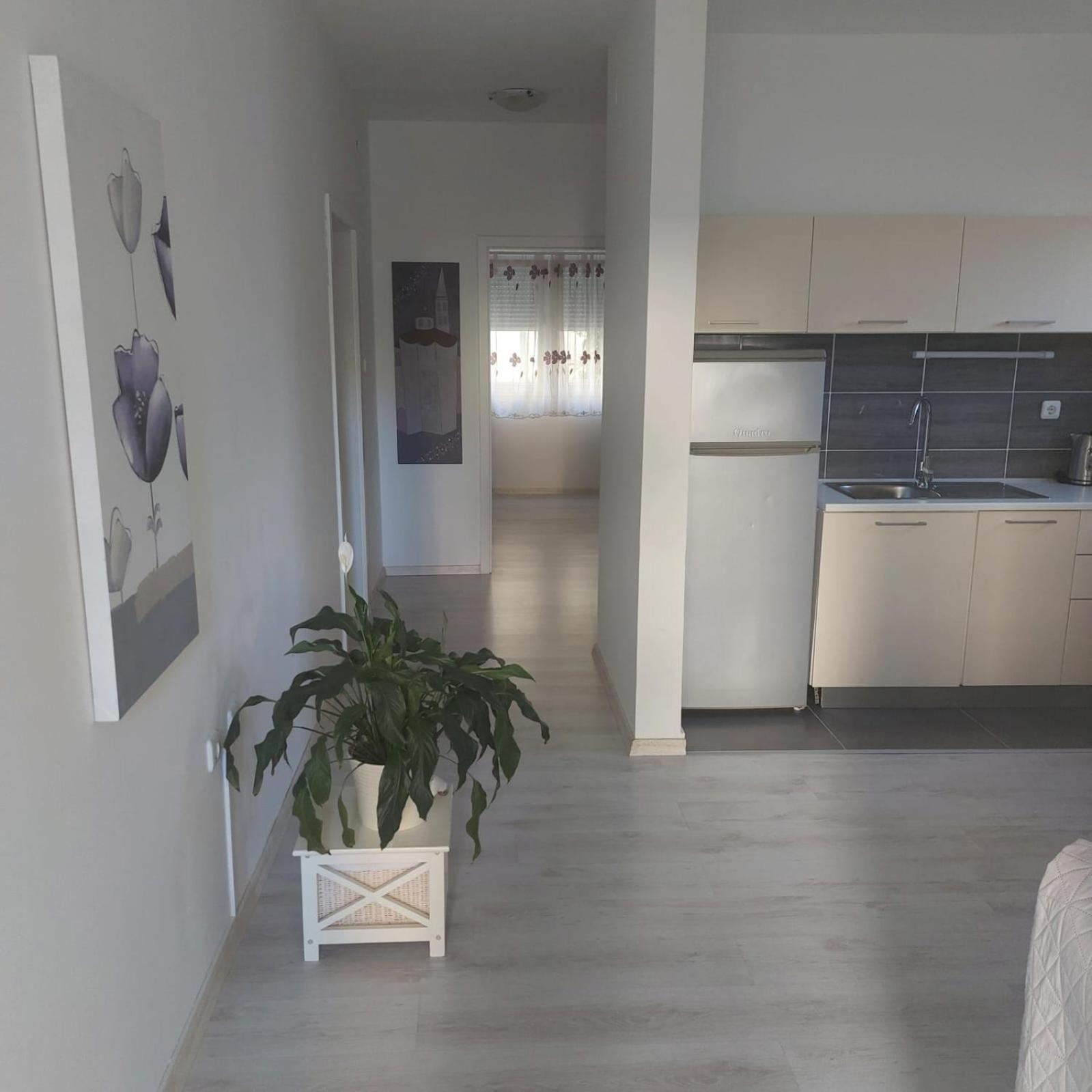 Martina Sun Apartment Zadar Exterior photo